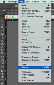 Screenshot of the file info option in the File menu